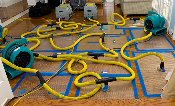 Professional Crawl Space Water Removal technician working in Erie, IL